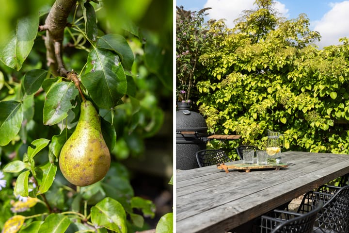 Photo 24 of Linebeamleane 16