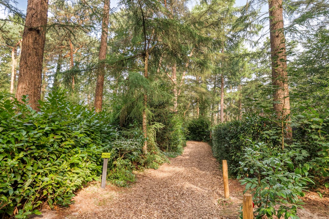 Photo 38 of Hogeveldsweg 26-254