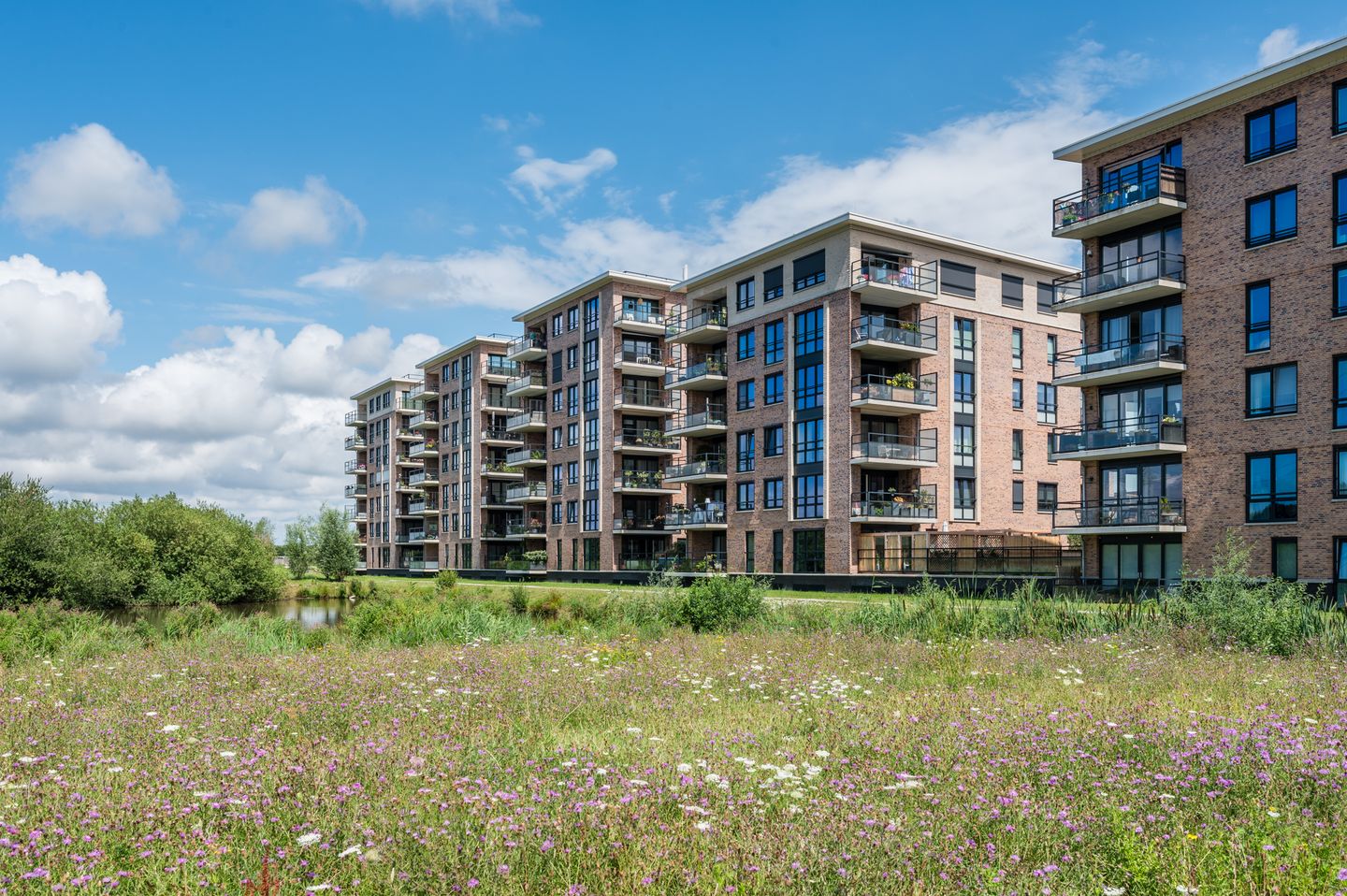 Foto 40 van Adriaan van Royenlaan 116