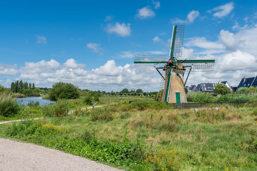 Foto 41 van Adriaan van Royenlaan 116