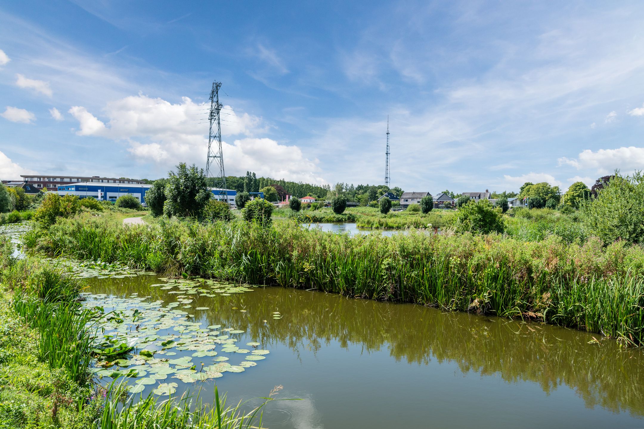 Foto 42 van Adriaan van Royenlaan 116