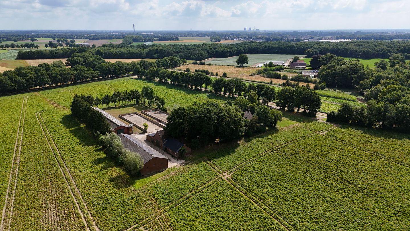 Bekijk foto 5 van Oude Brugstraat 3