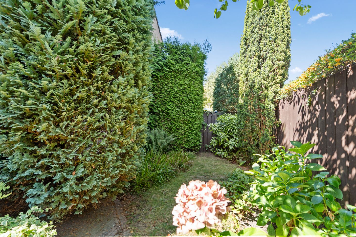 Foto 25 van Seychellen 32