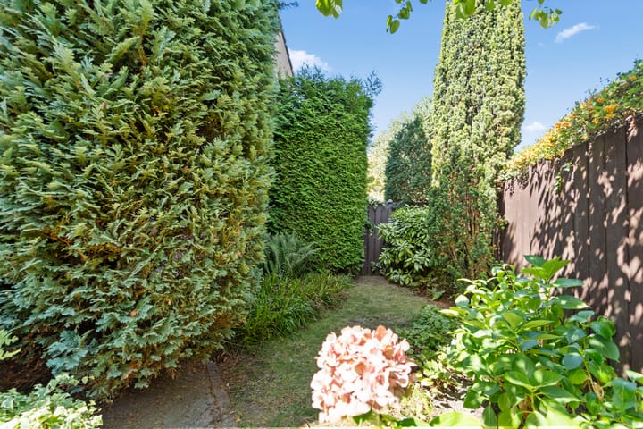 Foto 25 van Seychellen 32