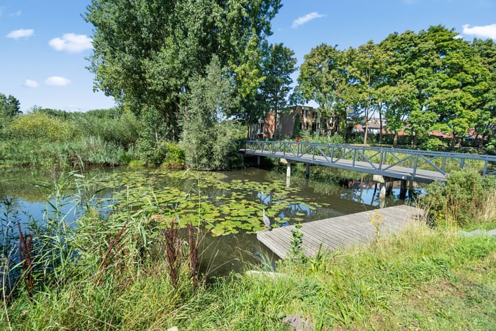 Foto 47 van Seychellen 32