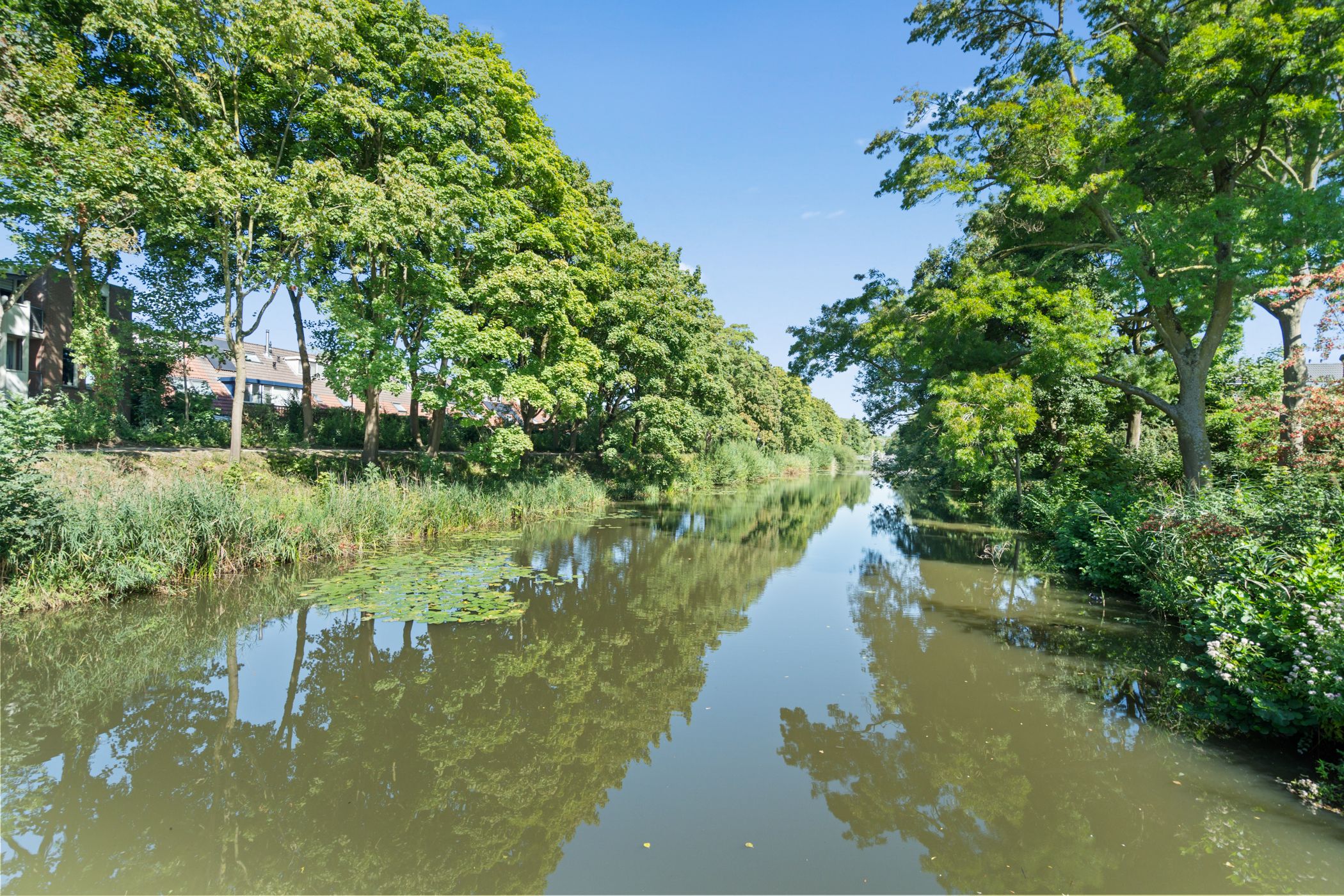 Foto 48 van Seychellen 32