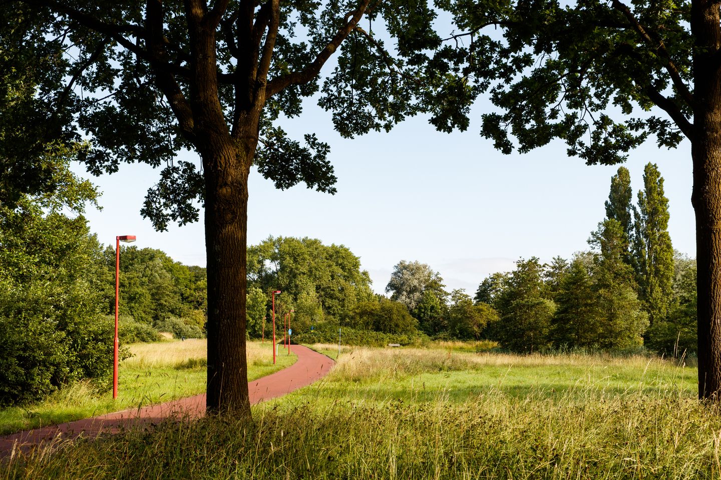 Foto 50 van Seychellen 32