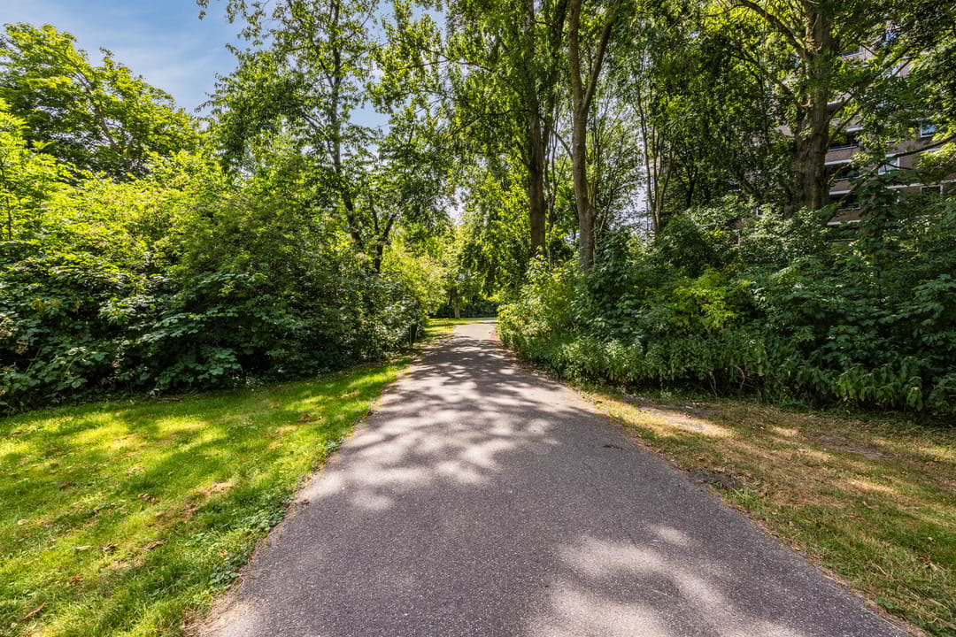 Photo 38 of Hongarenburg 100