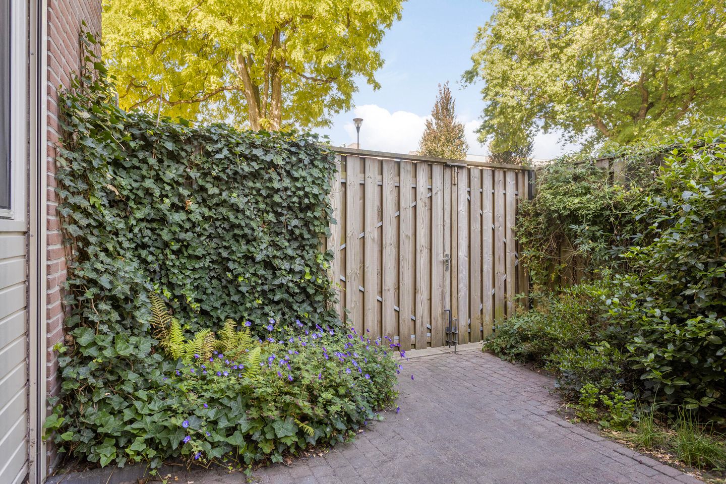 Foto 25 van Braak 67