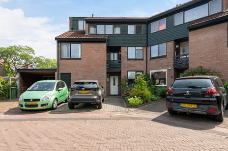 undefined main image