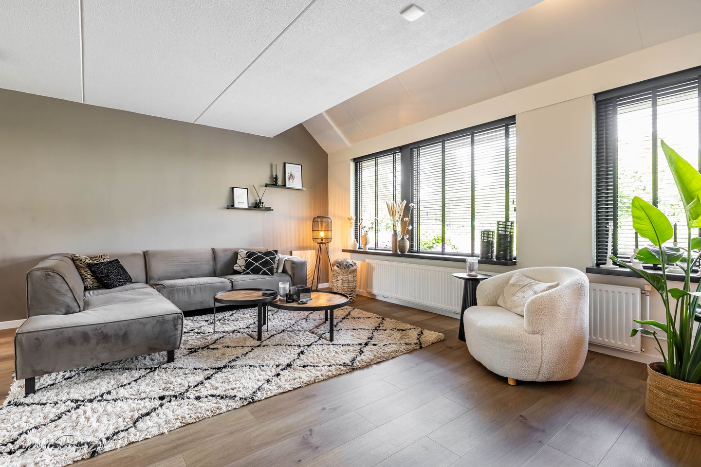 Photo 19 of Vogelwikke 7