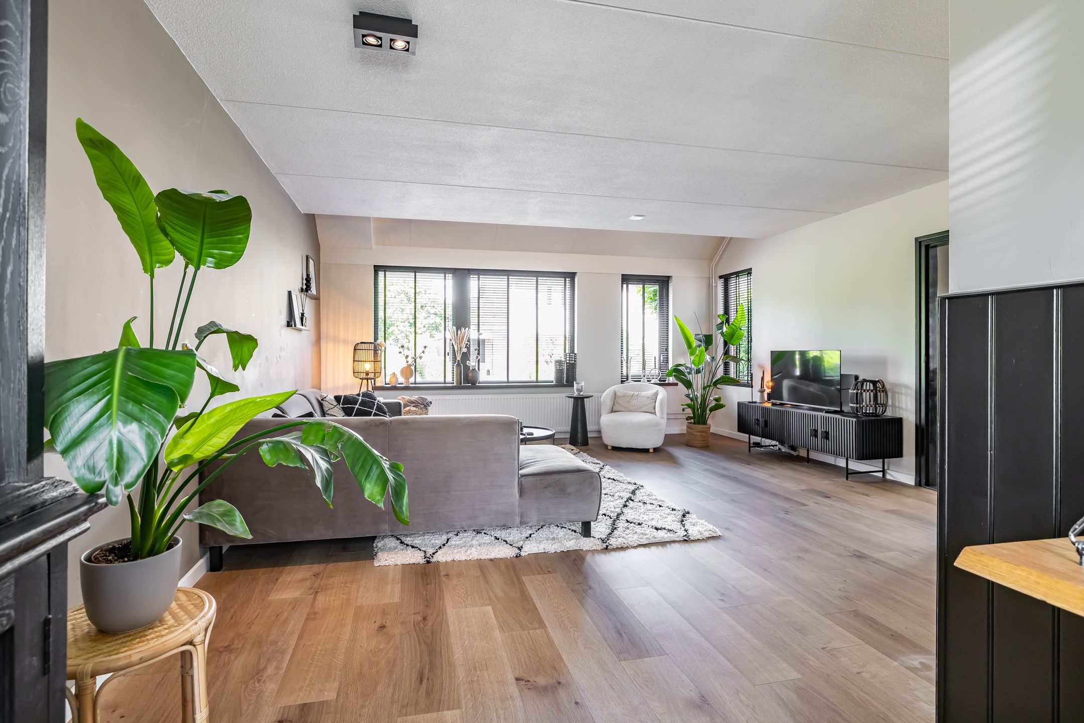 Photo 24 of Vogelwikke 7