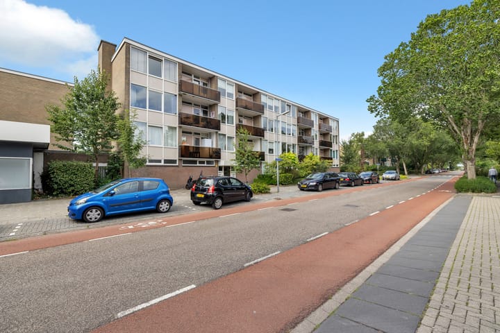 Foto 1 van Terborchlaan 73