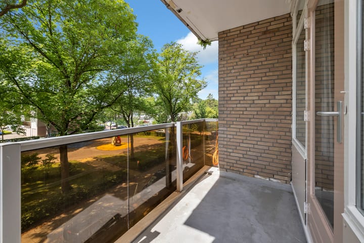 Foto 2 van Terborchlaan 73