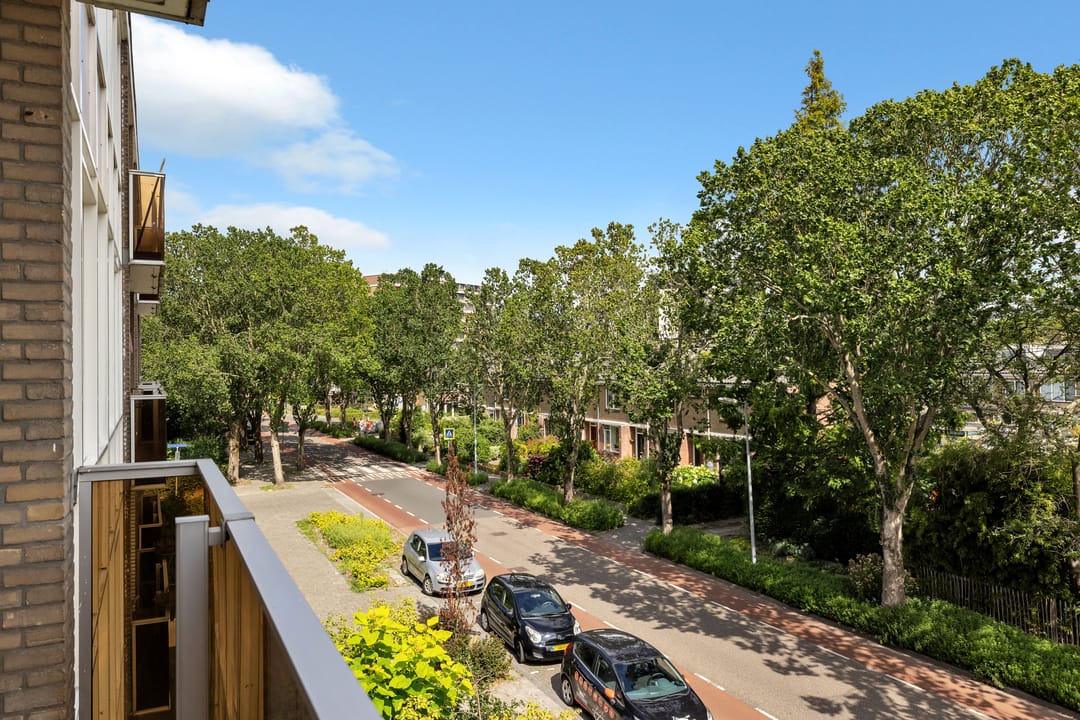 Foto 16 van Terborchlaan 73