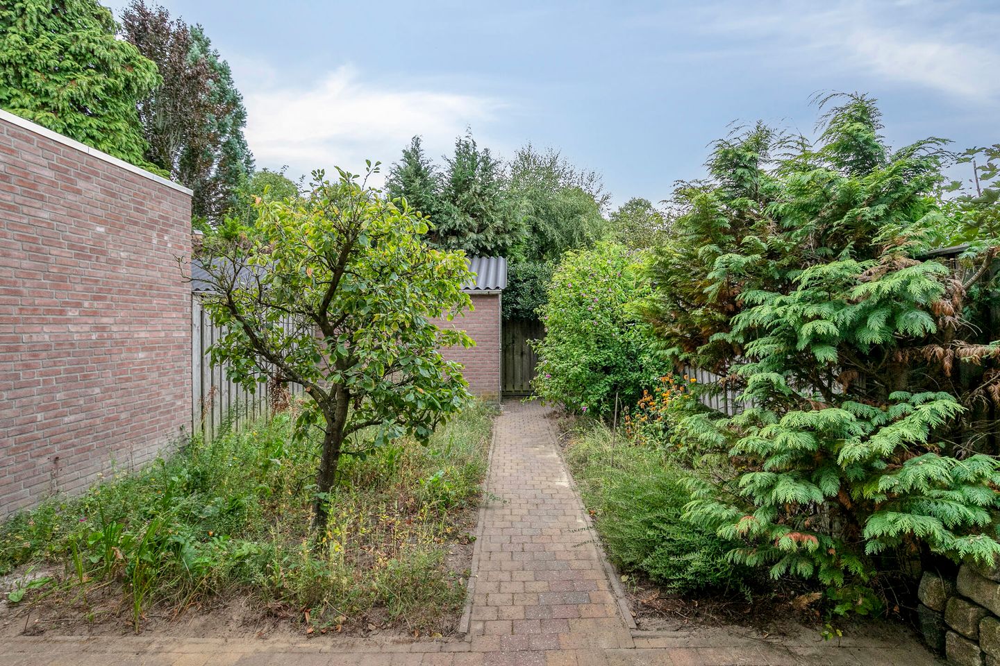 Foto 4 van Willem Sengershof 16