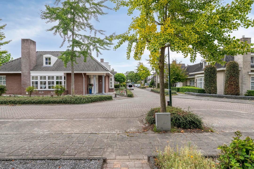 Foto 7 van Willem Sengershof 16