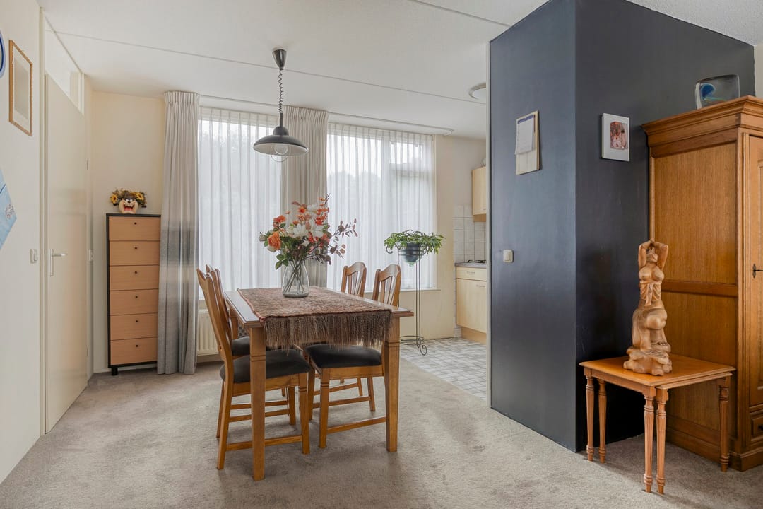 Foto 13 van Willem Sengershof 16