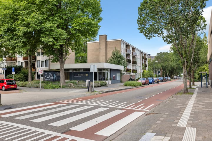 Foto 40 van Terborchlaan 73