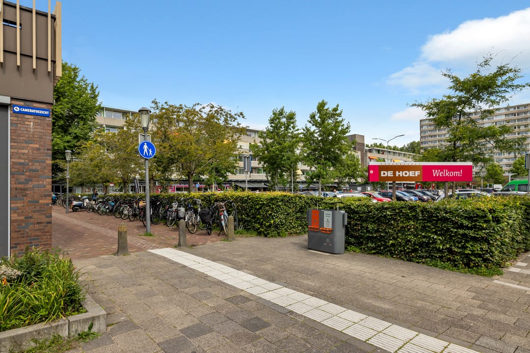 Foto 41 van Terborchlaan 73