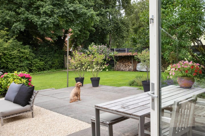 Foto 66 van Boterstraat 4