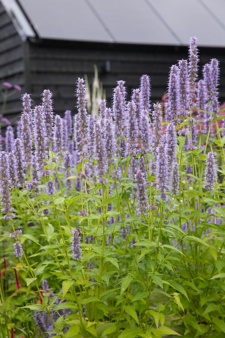 Foto 78 van Boterstraat 4