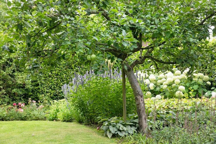 Foto 82 van Boterstraat 4