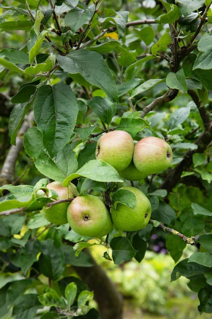 Foto 83 van Boterstraat 4