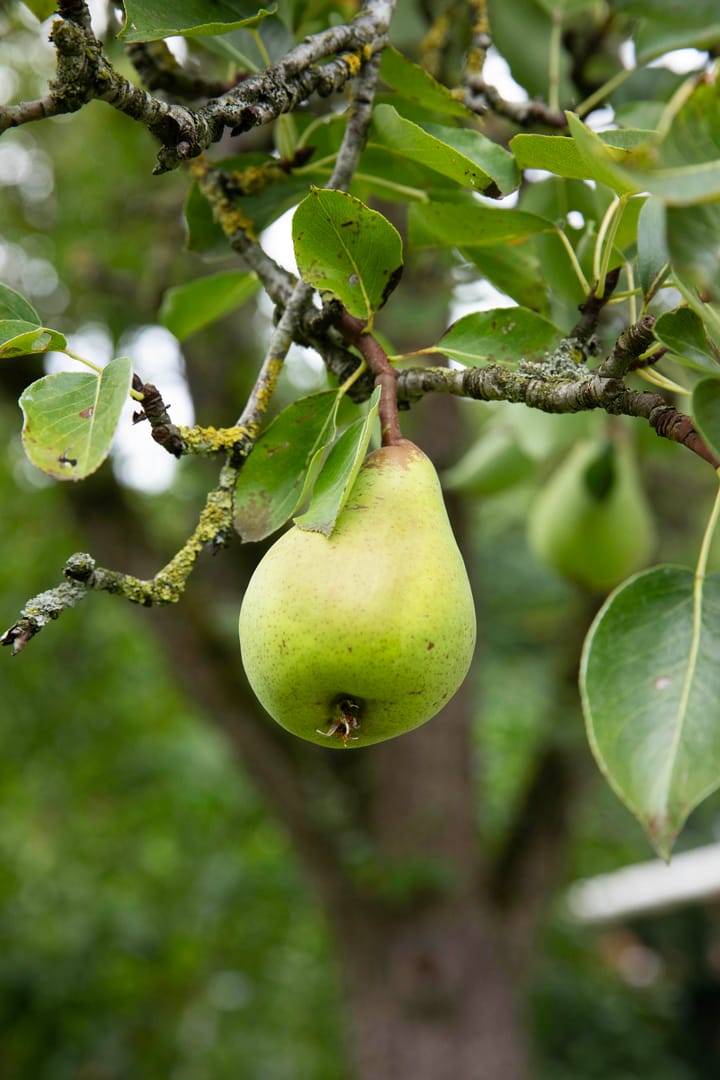 Foto 84 van Boterstraat 4