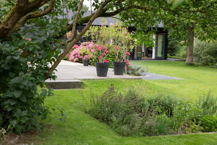 Foto 93 van Boterstraat 4