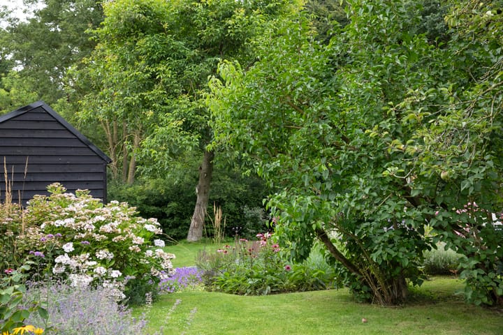 Foto 116 van Boterstraat 4