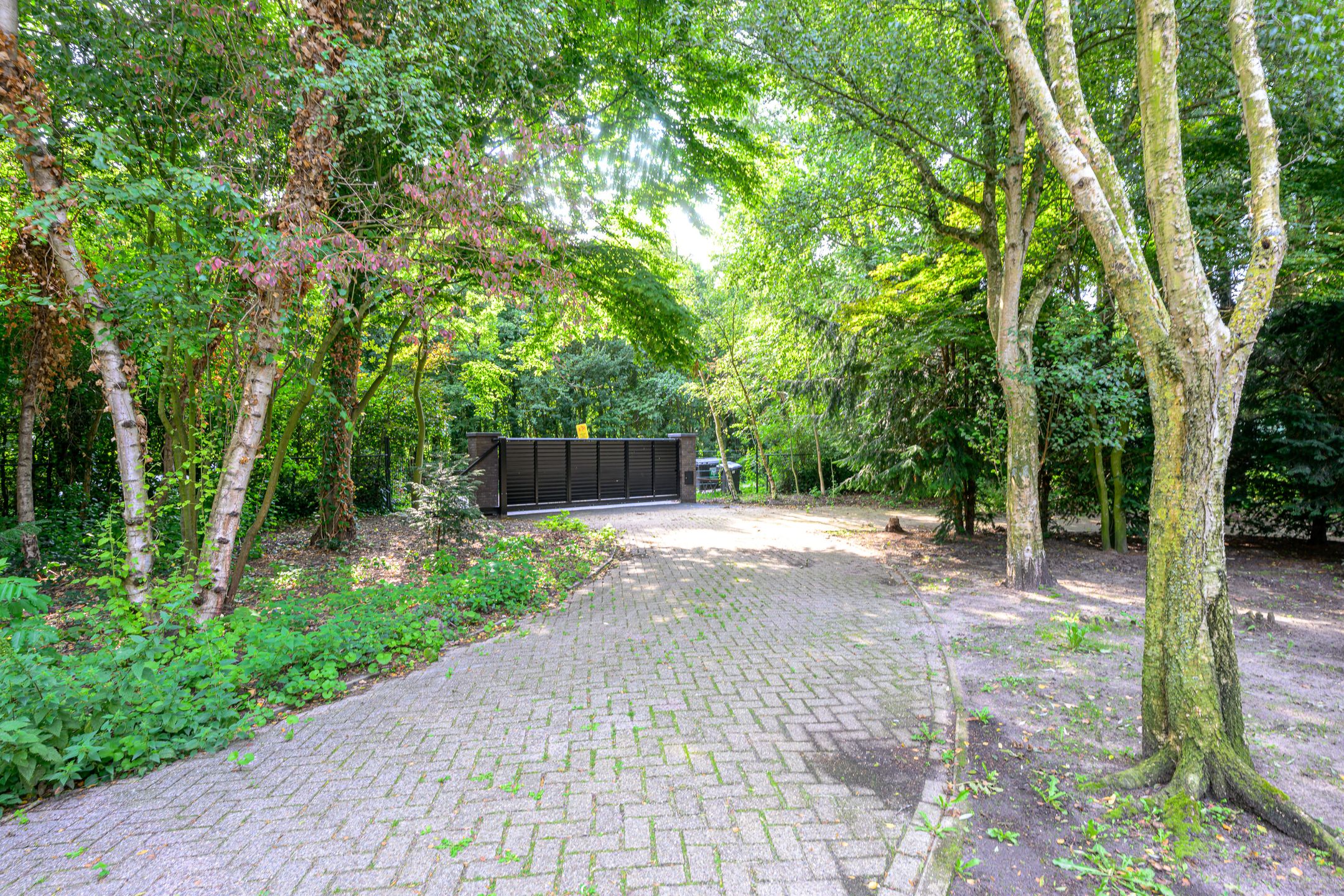 Photo 36 of Kogendijk 98