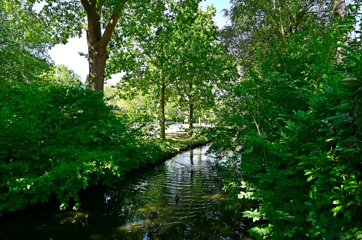 Foto 14 van Topaas 13