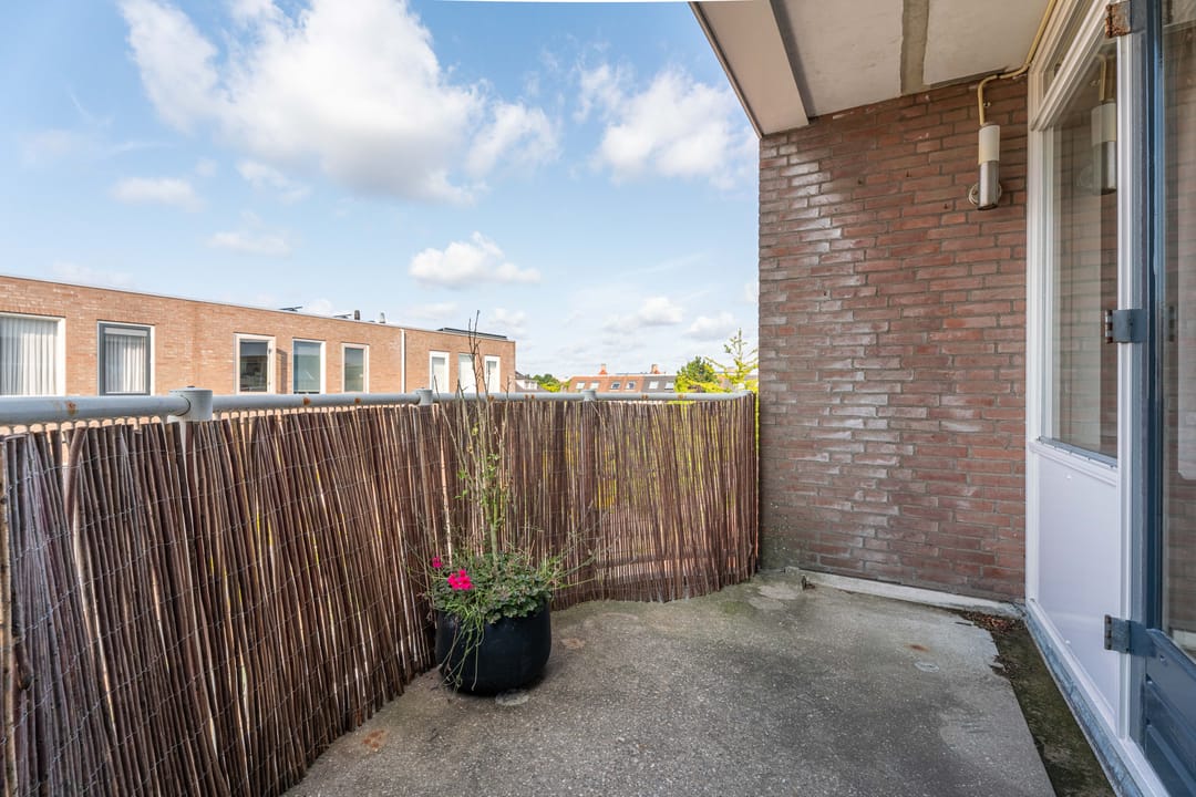 Foto 8 van Sinte Barbara's tuin 38