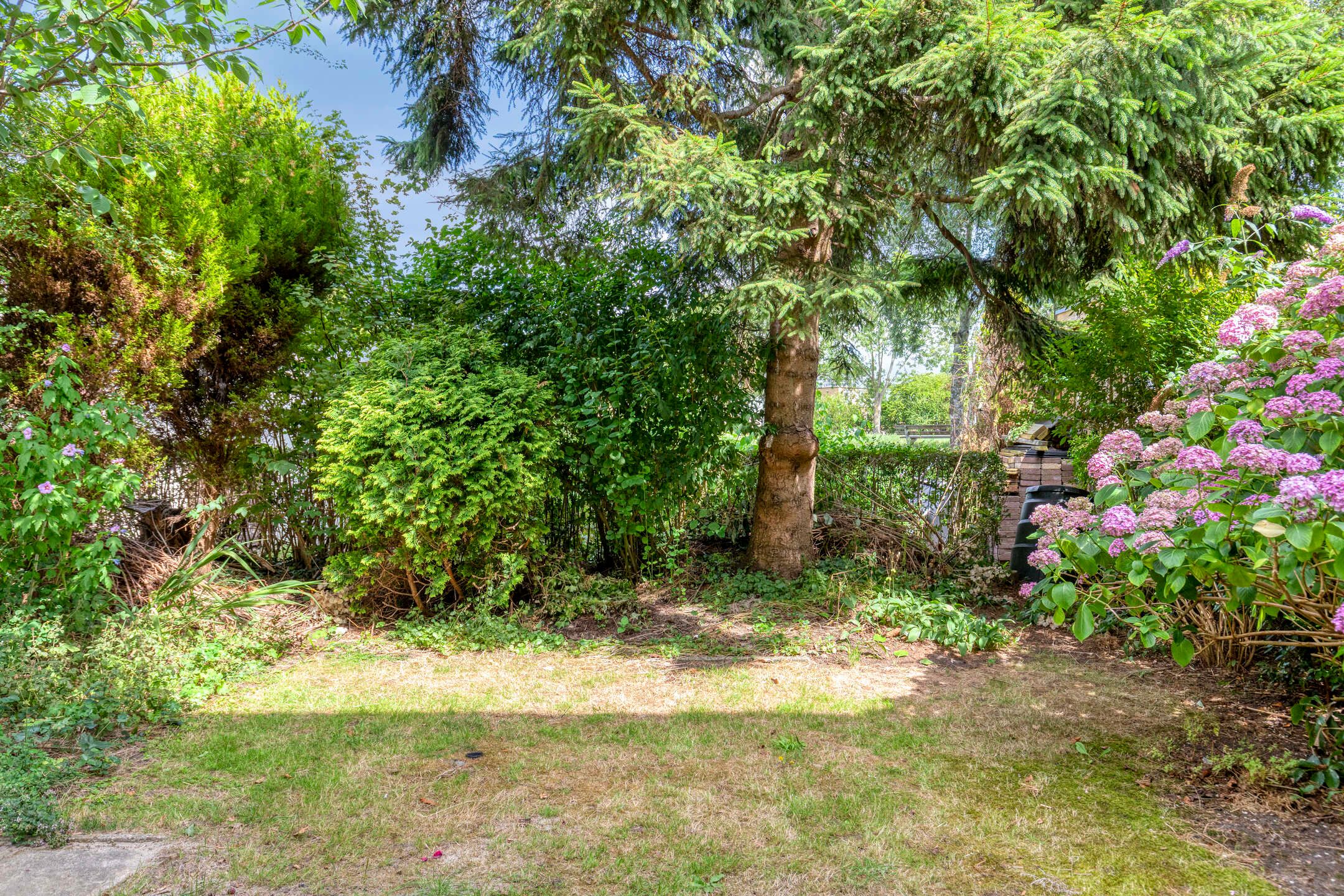 Photo 27 of Valkreek 146