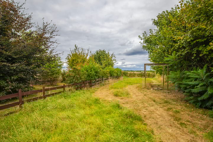 Foto 51 van Loostraat 44-A