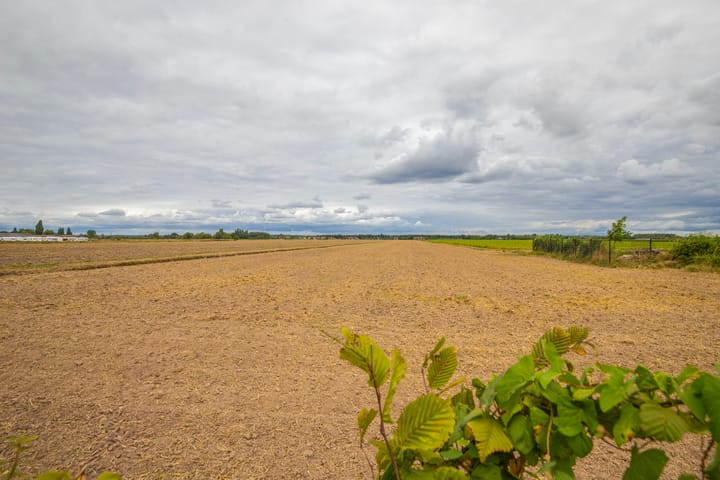 Foto 55 van Loostraat 44-A