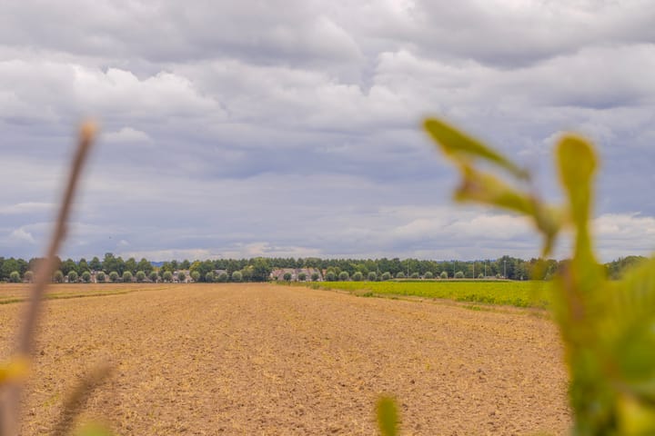 Foto 56 van Loostraat 44-A