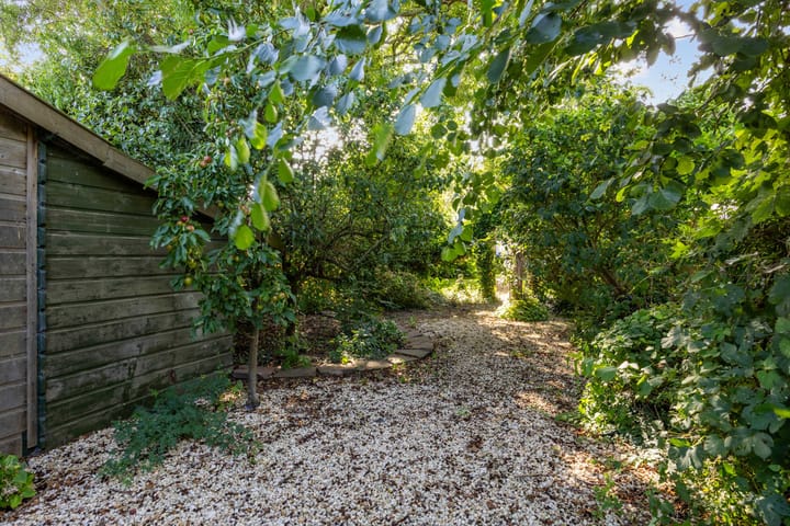 Photo 50 of Harlingerstraatweg 64