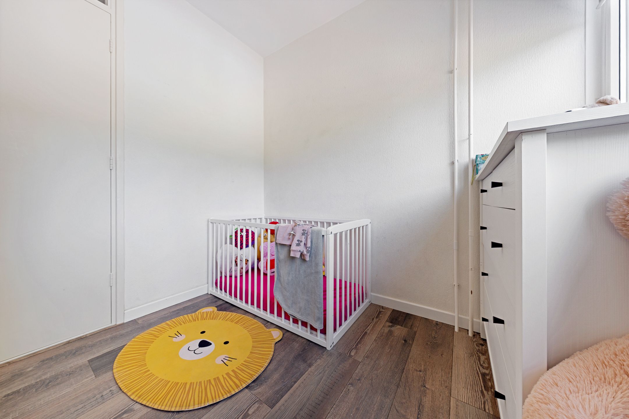 Foto 24 van Camphuysenstraat 12