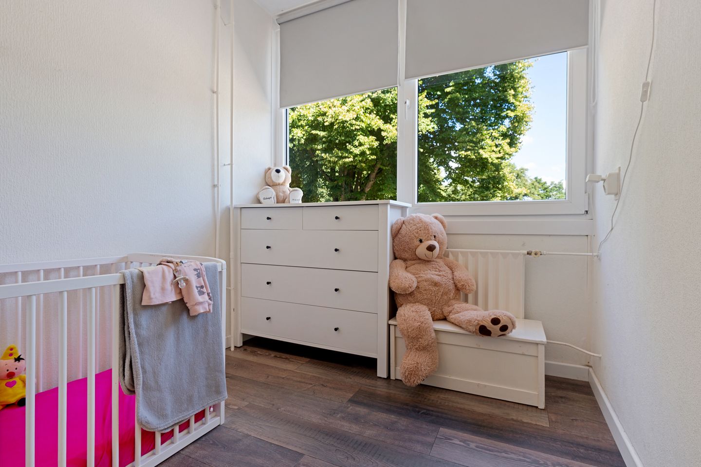 Foto 25 van Camphuysenstraat 12