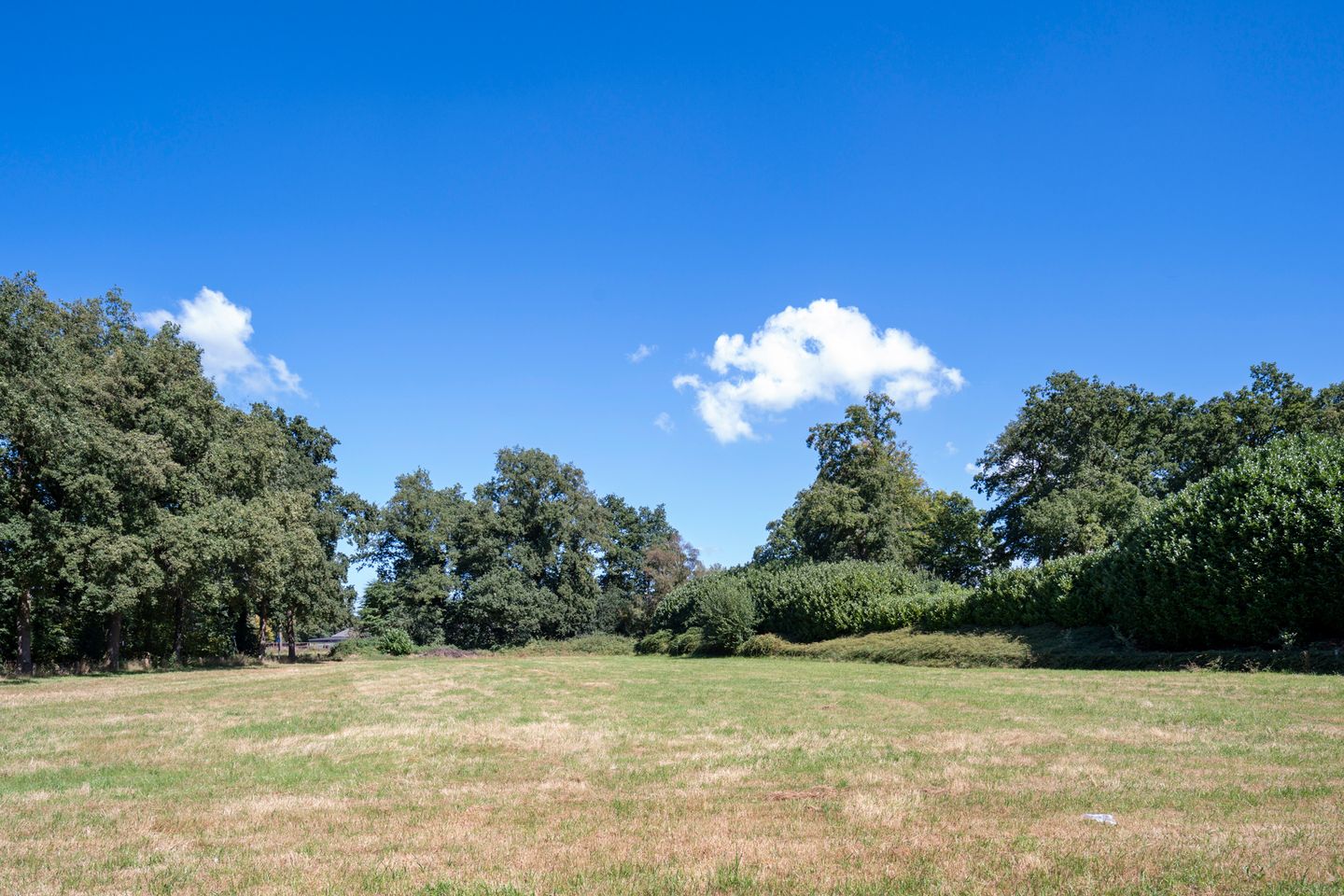 Foto 44 van Camphuysenstraat 12