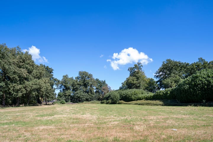 Foto 44 van Camphuysenstraat 12