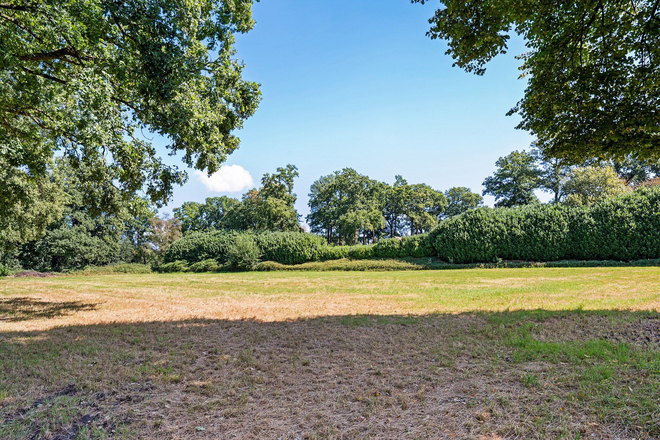 Foto 45 van Camphuysenstraat 12