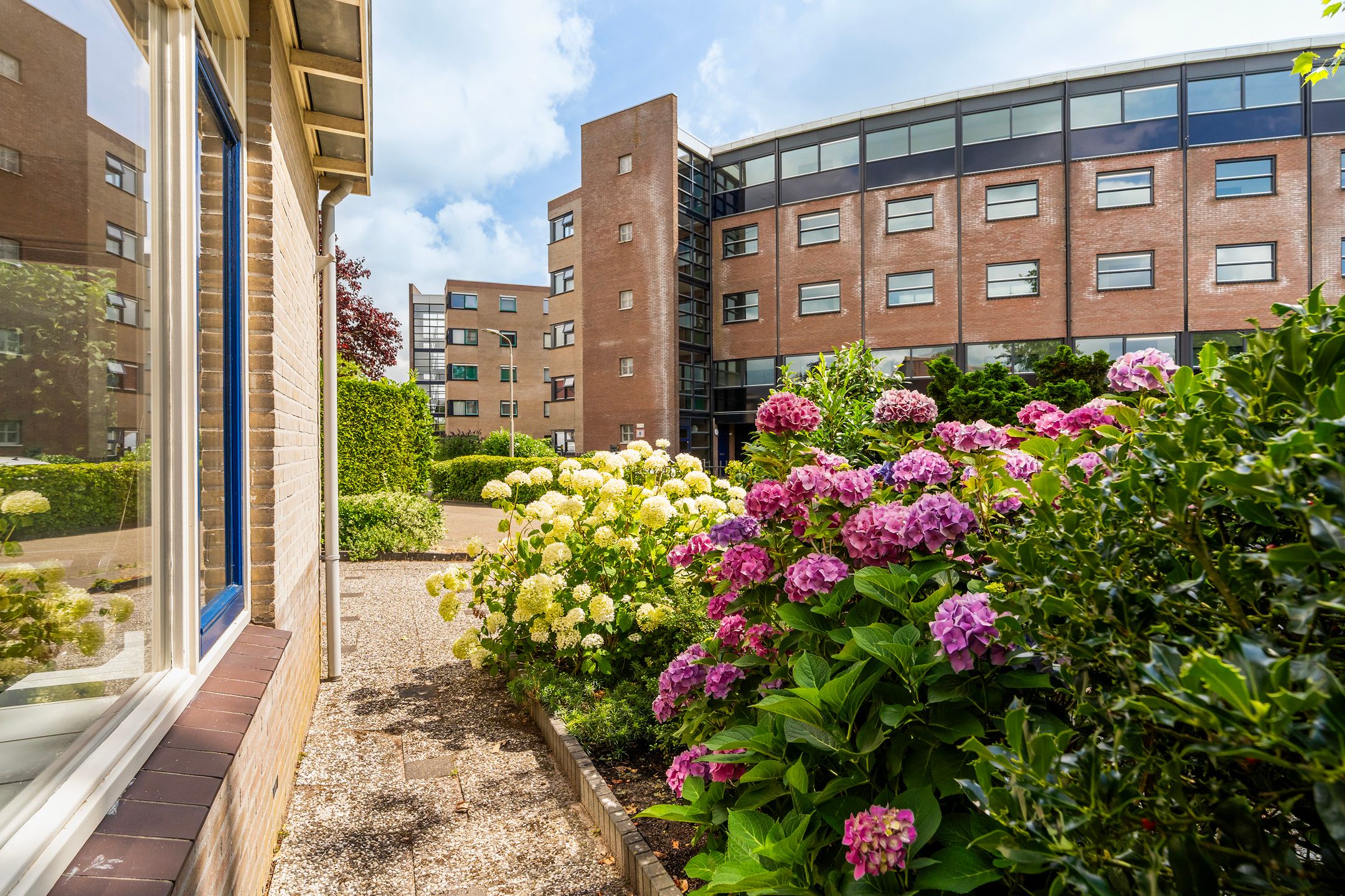 Foto 42 van Schroorsmastate 23