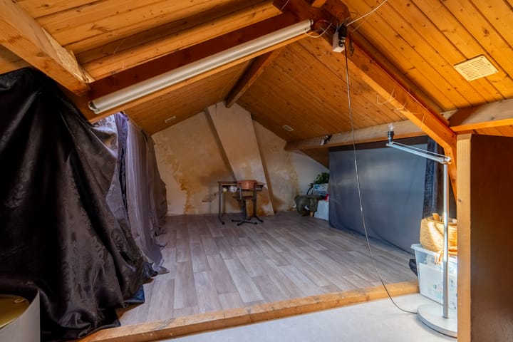 Foto 21 van Narcissenstraat 7