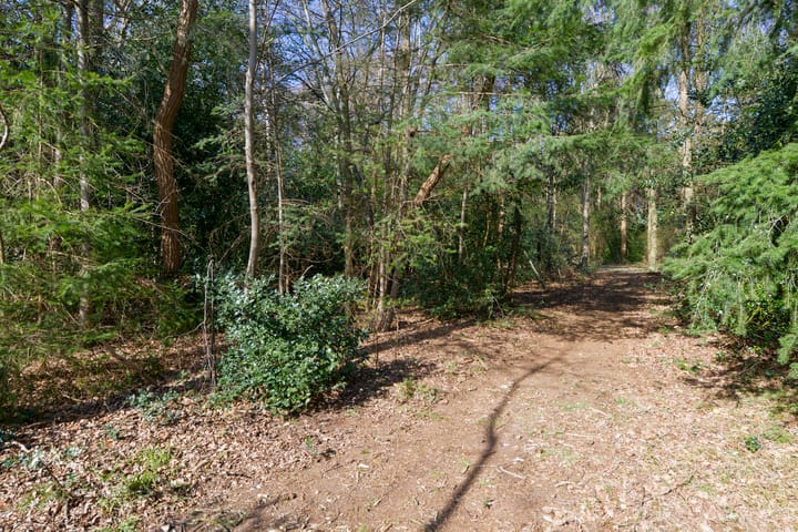 Foto 3 van Beresteinseweg 58-A