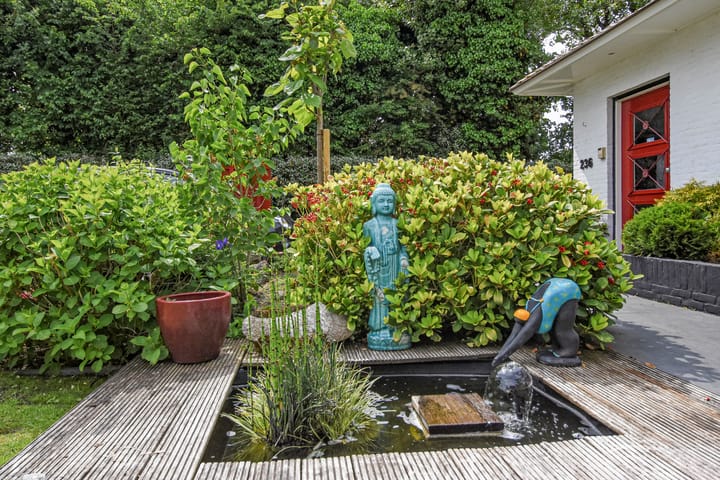 Photo 5 of Westkapellelaan 236