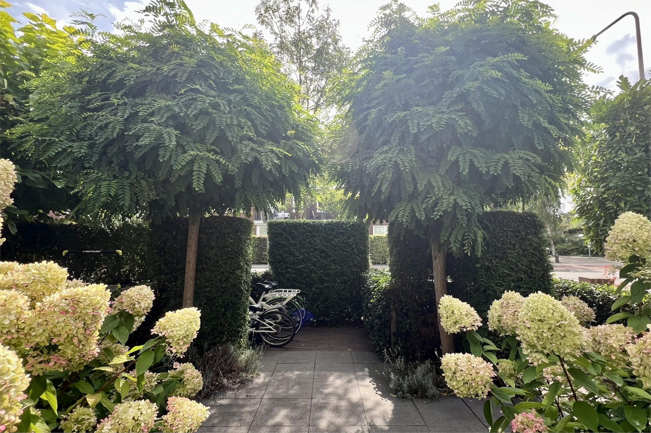 Foto 33 van Meerstraat 45