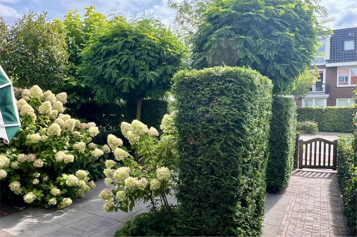 Photo 34 of Meerstraat 45